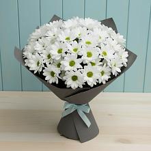 Букет цветов из:  Хризантемы #REPLACE_PRED# Железногорске