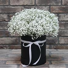 Цветочная композиция из Гипсофила в шляпной коробке в Железногорске