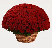 Премиум букет из: Розы в Железногорске