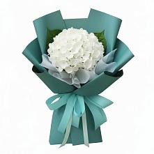 Букет цветов из:  Гортензия в Железногорске